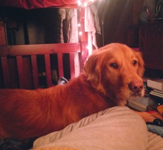 When Your Heart Is Tired